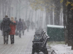 В Воронеже первый снег выпадет уже в эти выходные 