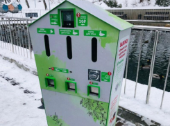 Аппарат для кормления уток появился в Центральном парке Воронежа