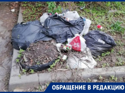 «Не можем же мы весь район убрать?» – результат общегородского субботника разочаровал жителей Воронежа