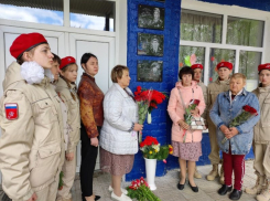 Памятные доски погибшим в СВО установили на школе в Воронежской области