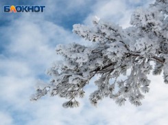В какой день Воронеж засыплет снегом, рассказал гидрометцентр 