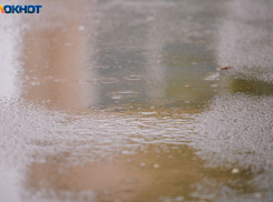 Весеннюю слякоть принесет погода в начале марта в Воронеже