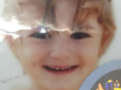 Следователи Воронежа завели уголовное дело на отца, похитившего 7-летнюю дочку 