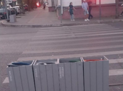 Перейти дорогу в мусорку предложили воронежцам