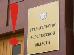 С экстренным обращением к населению выступило воронежское правительство