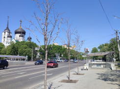 Почему Воронеж превращается в «поле чудес», но без Якубовича