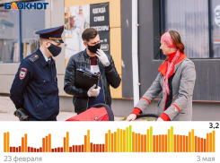 Как майские праздники повлияли на самоизоляцию в Воронеже