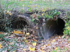 Как будет решаться проблема с ливневками в Воронеже, рассказал губернатор Гусев 