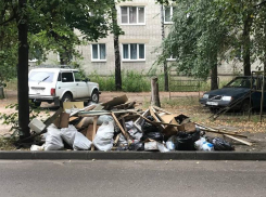 Коммунальщики показали жителям Воронежа плохой пример, а те его подхватили