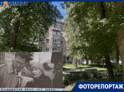 Как выглядит сквер, получивший имя Владимира Жириновского в Воронеже