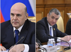 Почему председатель ЛДПР Слуцкий пожаловался Мишустину на воронежских чиновников