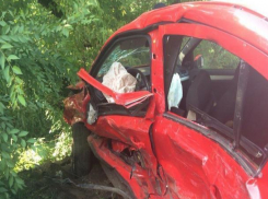 Мать воронежца, погибшего в ДТП с участием «мажоров» из института МВД: «Виновные в смерти сына до сих пор не наказаны»