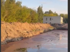 Аммиачная вонь наполняет село в Воронежской области – опубликовано видео