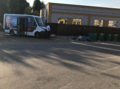 Депутата Крутских рекламируют у помойки в Воронеже 