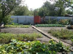 Власти Воронежа сообщили о продлении конечной остановки на Дальних садах на летний сезон