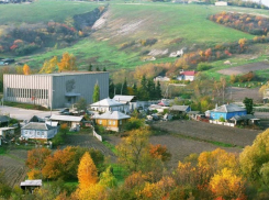 В воронежских Костенках агрофирма безжалостно расправилась с деревьями