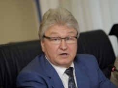 Спикер Воронежской гордумы пообещал, что террора не будет 