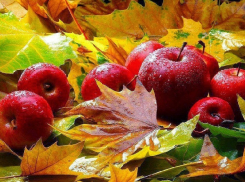 Синоптики пообещали сухую и теплую рабочую неделю в Воронеже