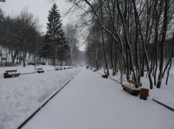 Воронежские власти рассказали, в каких парках и скверах уже установили видеокамеры