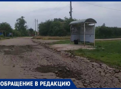 В адских условиях идут дети в школу под Воронежем