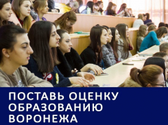 Лишение аккредитаций и травести в вузах стали главными особенностями воронежского образования: Итоги 2016 года
