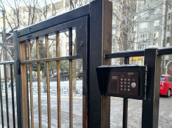 «Завидуйте молча»: дворовые войны разгорелись среди жителей Воронежа