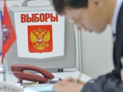 В Воронеже поданы жалобы на системные нарушения на выборах