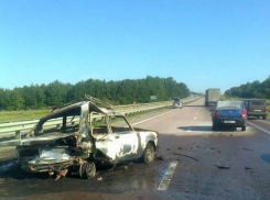Полиция возбудила уголовное дело по факту ДТП, в котором сгорели мужчина и женщина
