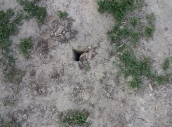 Мэрия Воронежа отчиталась по торчащей из земли арматуре