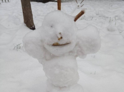 «Парад» снеговиков начался в Воронеже