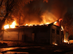Пожар на Моисеева в Воронеже: страшной трагедии удалось избежать только чудом