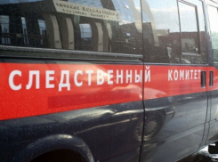За смерть изнасилованной 5-летней воронежской девочки ответят должностные лица