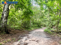 Ни камер, ни тренажеров: КСП раскрыла косяки реконструкции «Олимпика» в Воронеже