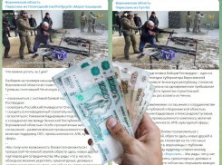 Политические публикации про «пулемётчика Гусева» оценивают в сотни тысяч рублей