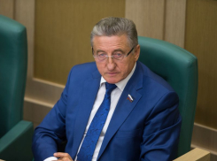 Воронежский сенатор прокомментировал поправки в Жилищный кодекс о переводе жилого помещения в нежилое