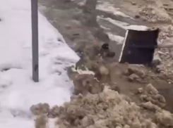 На фоне равнодушия концессионера воронежцы сами расчистили платную парковку