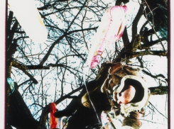 В Воронеже пройдет выставка ростовского художника «Untitled, Voronezh, 2014»