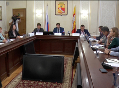 Мэрия Воронежа хочет организовать платные парковки за пределами центра