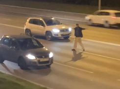 Новоиспеченного воронежского «регулировщика» засняли на видео в Воронеже