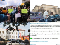 Коронавирус в Воронеже 25 мая: полсотни зараженных, вспышка на заводе и митинг бизнесменов