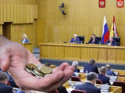 Вот это поворот: расходы на содержание Воронежской облдумы резко сократят