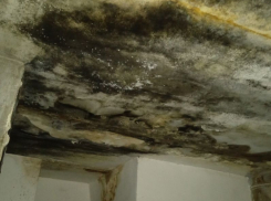 Потолок из фильма ужасов запечатлели в злополучном воронежском доме