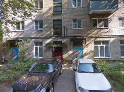 Блохи в детском саду оказались на совести «ПИК-Комфорт» в Воронеже