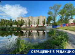 Воронежцы рассказали, как маргиналы и природа совместно разрушили их любимый сквер 
