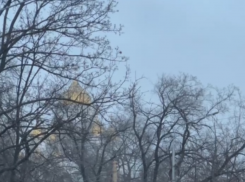 В Воронеж пришел первый снегопад