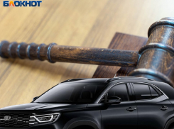 До Верховного Суда РФ дошло дело о покупке иномарки воронежскими чиновниками 