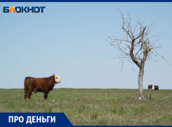 Более чем в 2 раза сократилась чистая прибыль молочного комбината «Воронежский»