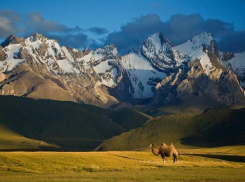 В Кыргызстане зарегистрирован летальный случай от бубонной чумы