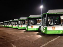 Опубликовано видео колонны 33 новых автобусов, въезжающей ночью в Воронеж 