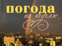 Ноябрь застрял между временами года: погода в Воронеже
